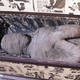 Illustration for article titled German boy finds a mummy in his grandmothers attic